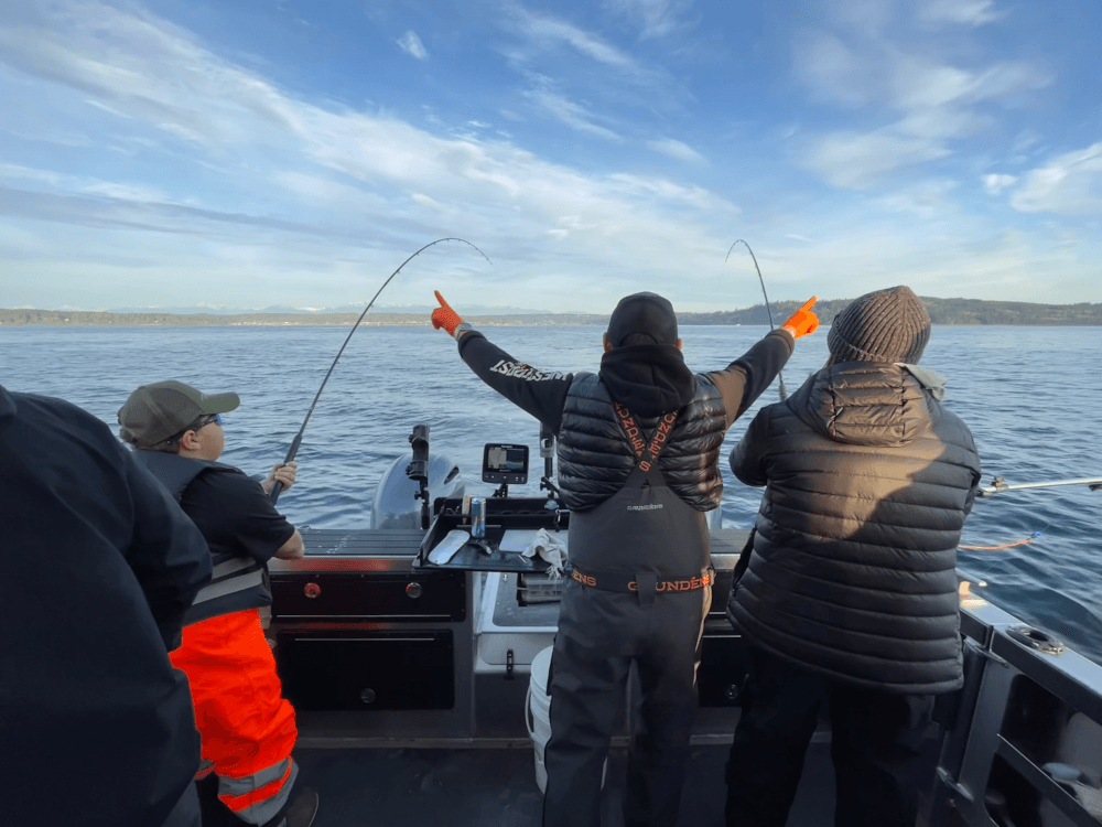 Blackmouth salmon fishing