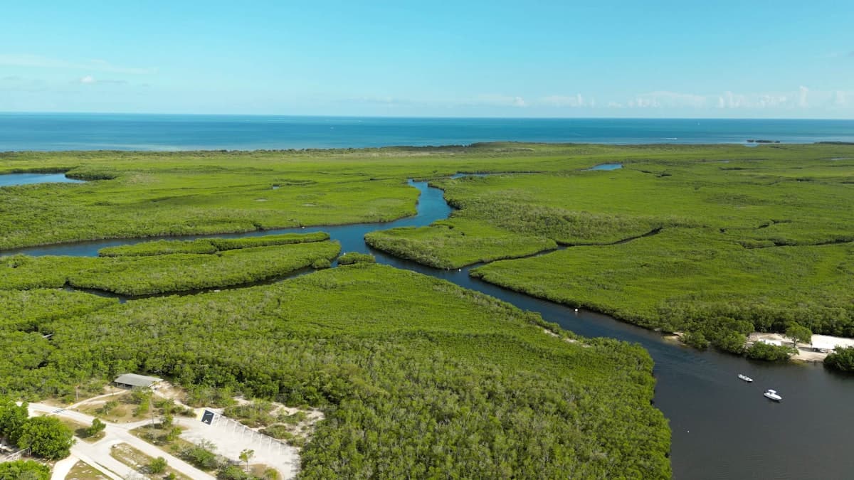 Apalachicola Fishing: Old Florida, World-Class Oysters, and Fish That Haven't Heard of Fishing Pressure