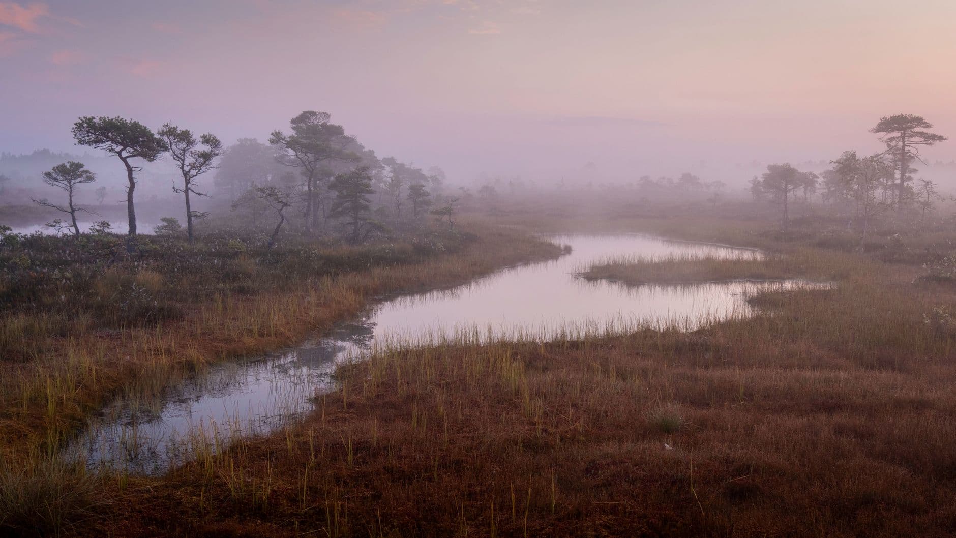 Sharing a Wildlife Area With People Who Are Shooting