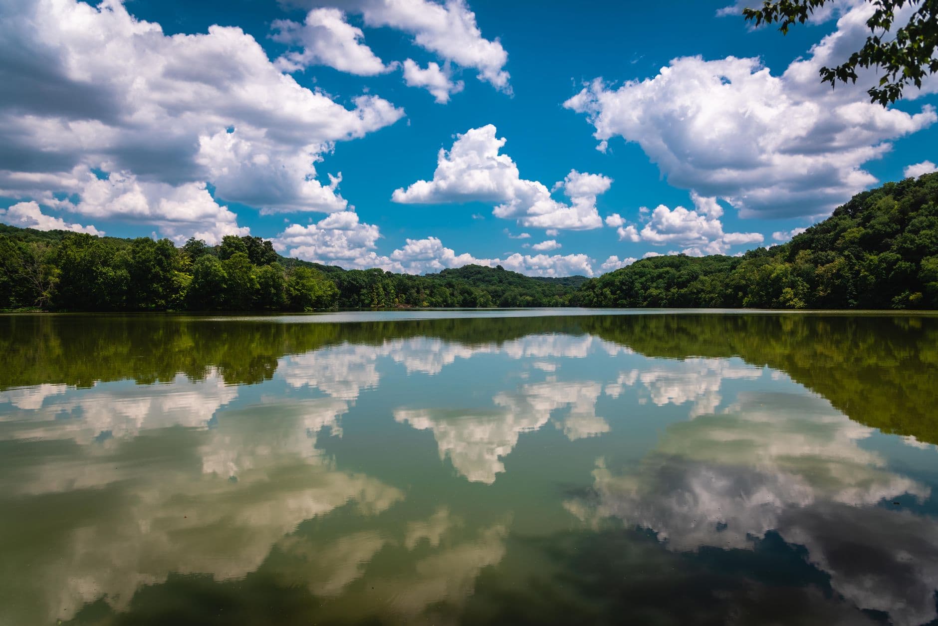 Birding Nashville: The Park Where You Cannot Jog, and Why