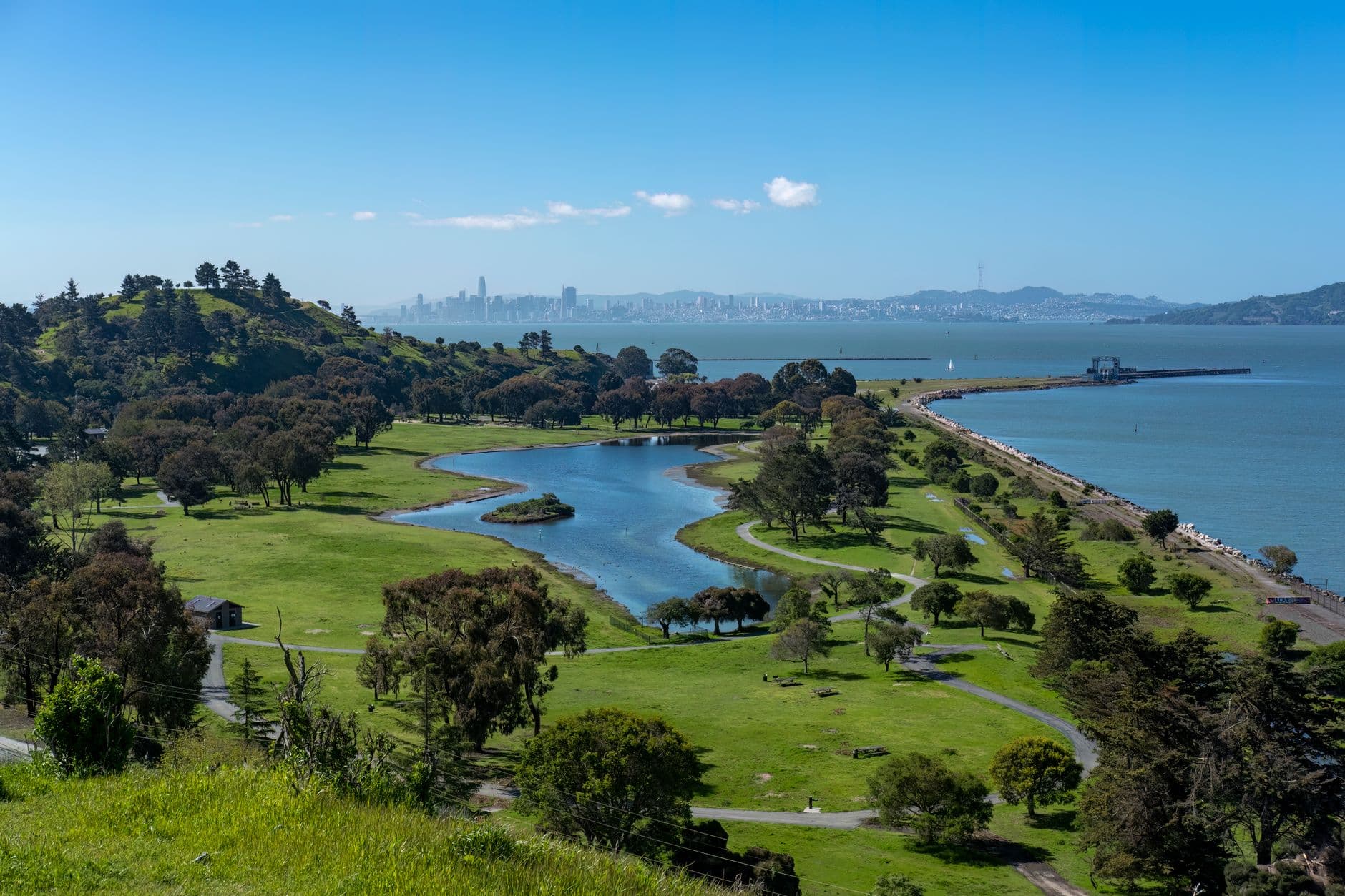 Birding San Francisco Bay: Don Edwards, the Salt Ponds, and the Shoreline