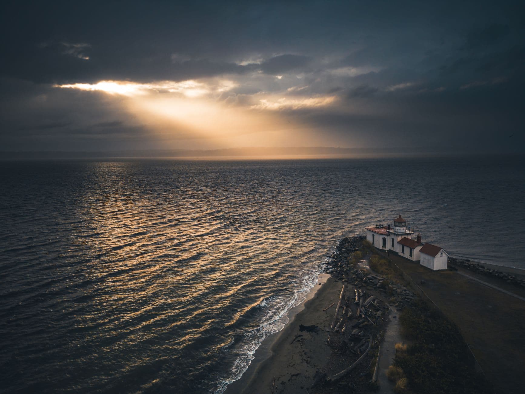 Birding Seattle: A Bluff, a Landfill, and a Naval Air Station