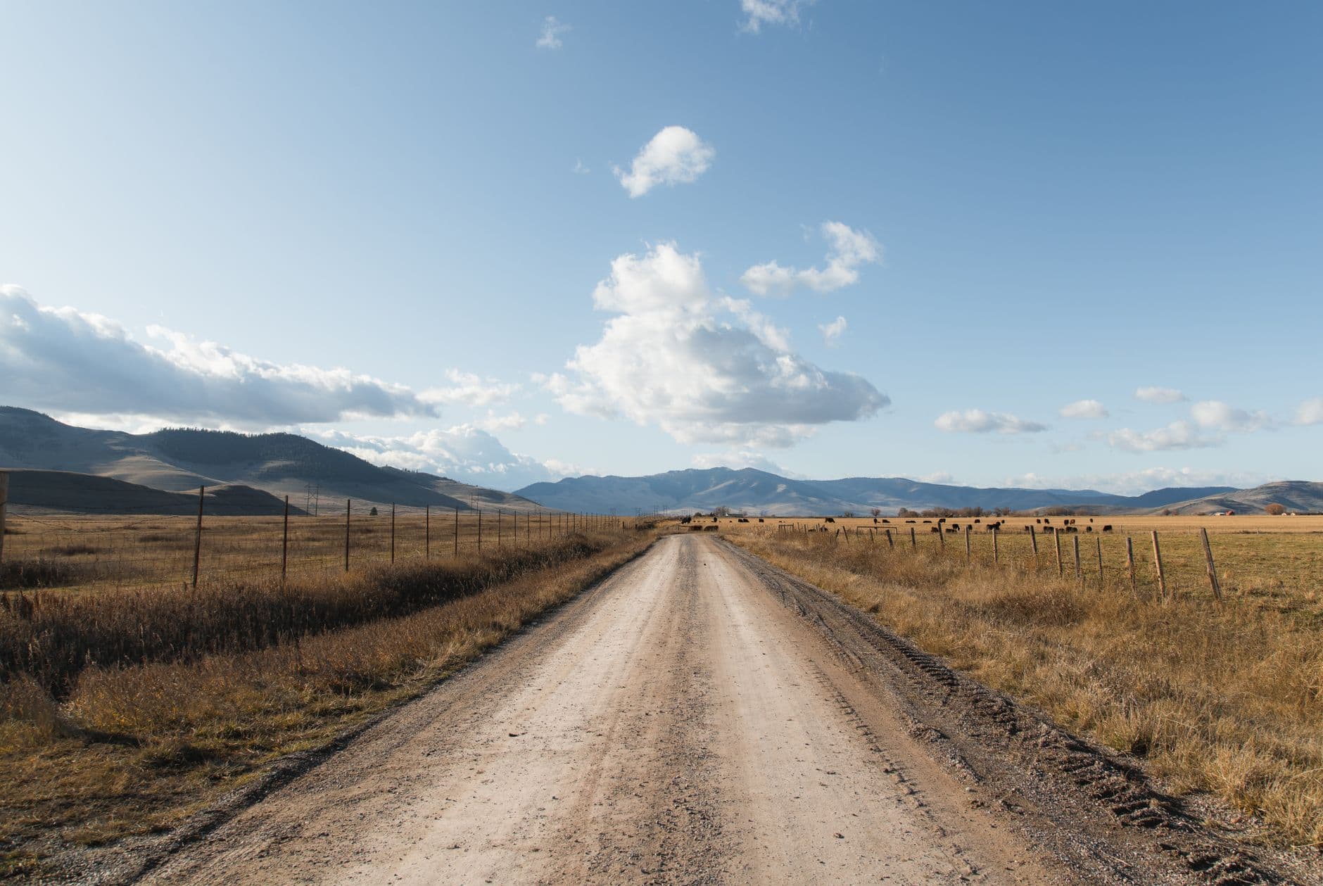 Bowdoin: A 15-Mile Loop Through the Prairie Pothole Country