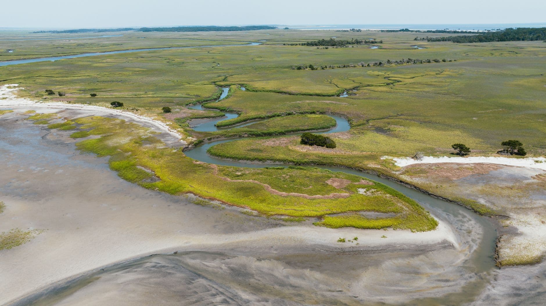 Chincoteague: The Wildlife Loop Does Not Open to Cars Until 3pm