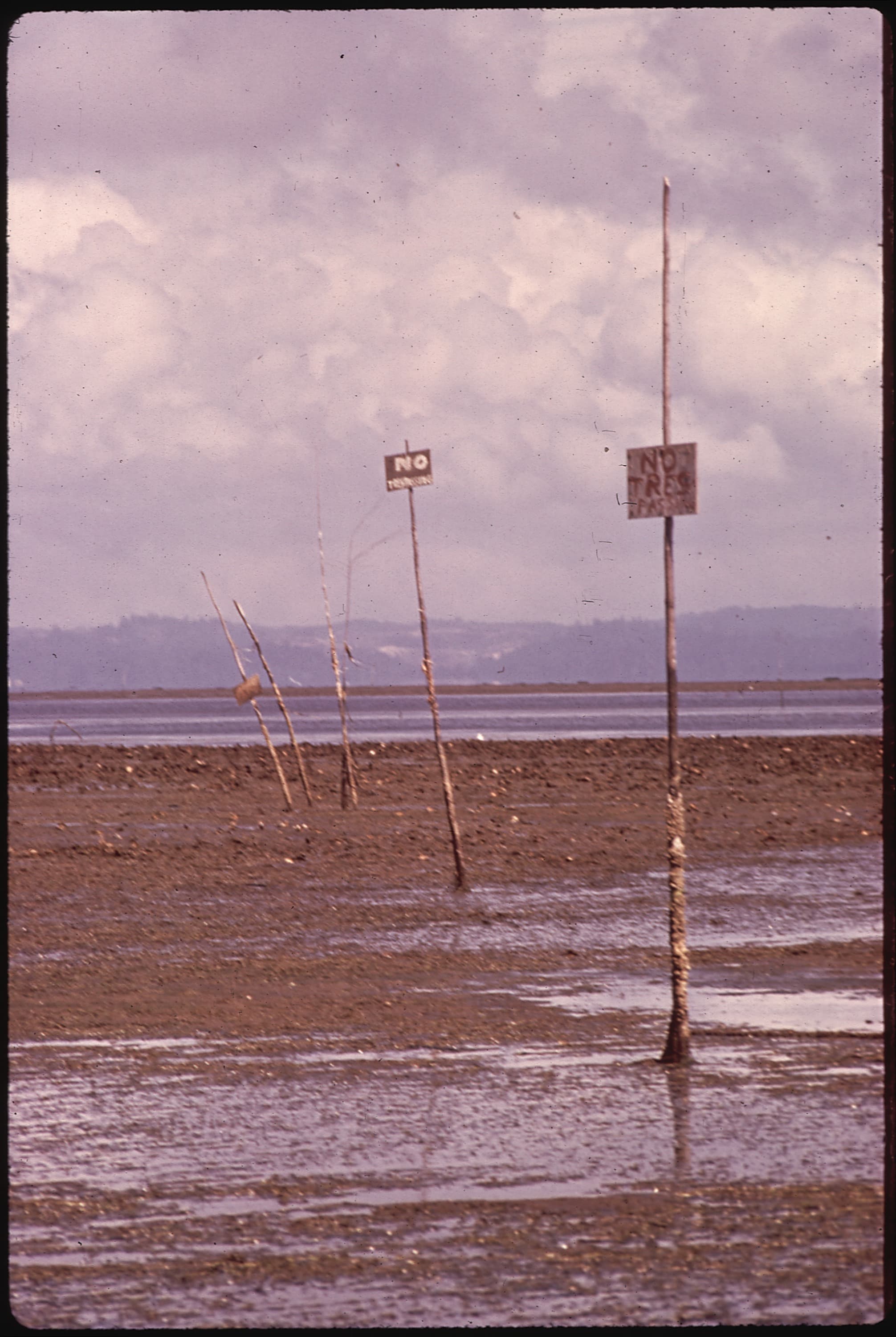 Most of This Bay Belongs to Somebody