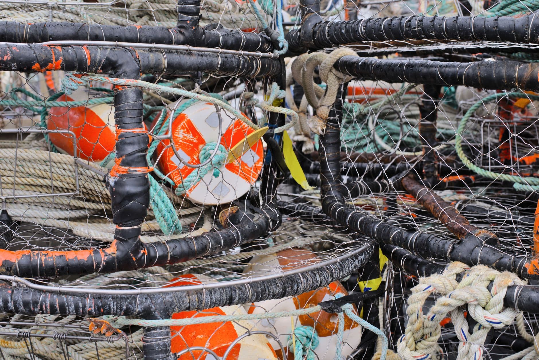 Every Crab Rule Exists Because a Lost Pot Keeps Fishing
