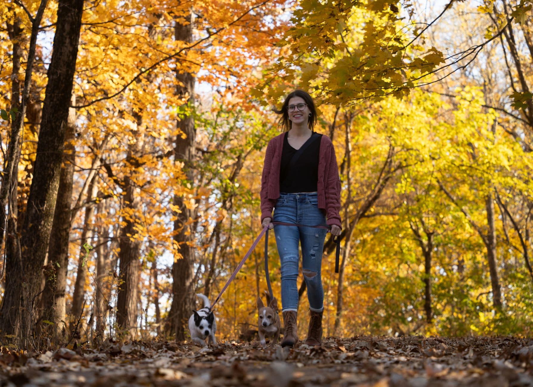 The State Parks That Actually Want Your Dog