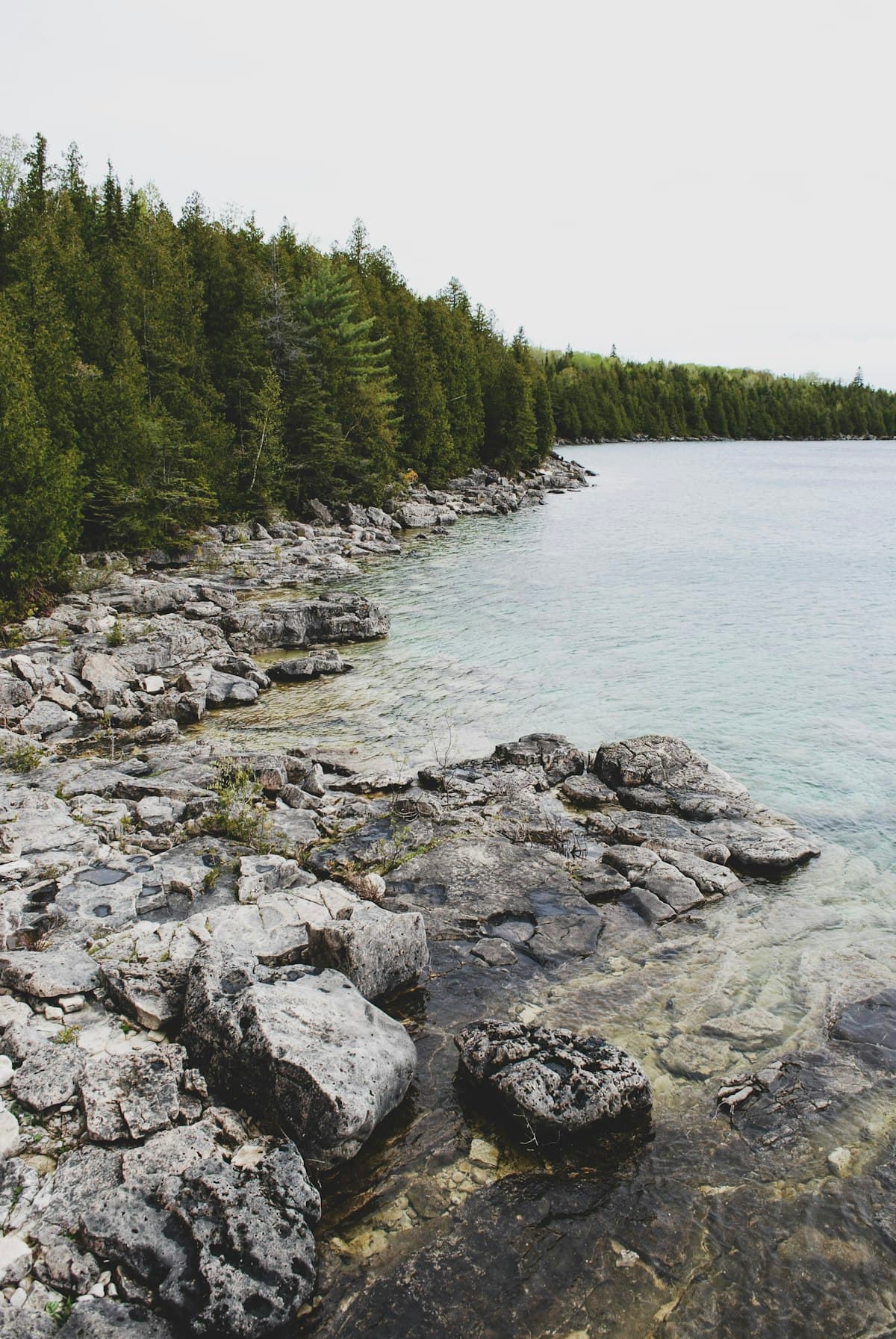 Fishing Algonquin Park, Ontario: Brook Trout and Lake Trout by Canoe in Canada's Most Iconic Wilderness