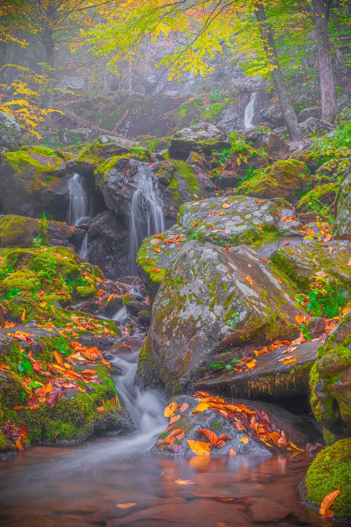 Fly Fishing Acadia National Park: Brook Trout Ponds, Saltwater Stripers, and the Maine Tradition