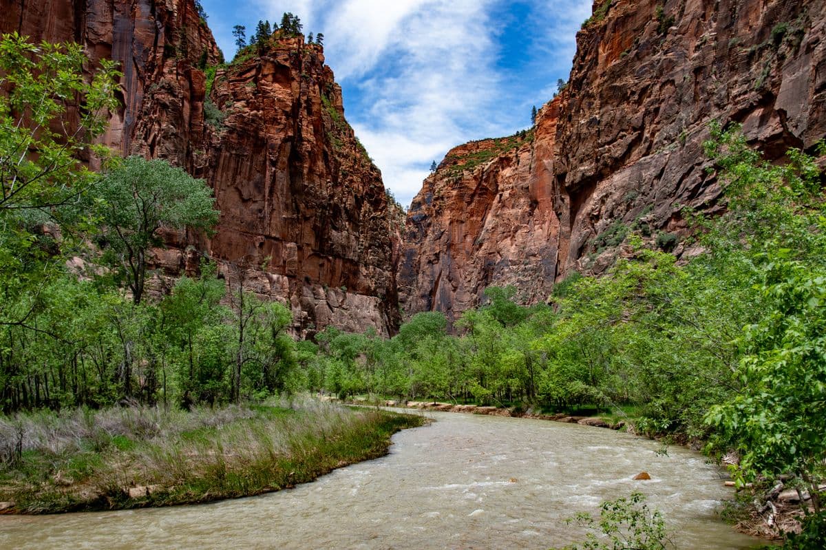 Fly Fishing Big Bend National Park: Desert Canyons, the Rio Grande, and Fish You Won't Find Anywhere Else