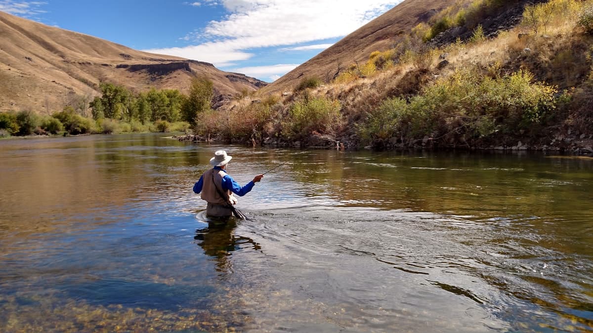 Fly Fishing the Bow River, Alberta: Hatches, Dry Flies, and Drift Boat Strategies for Trophy Brown Trout