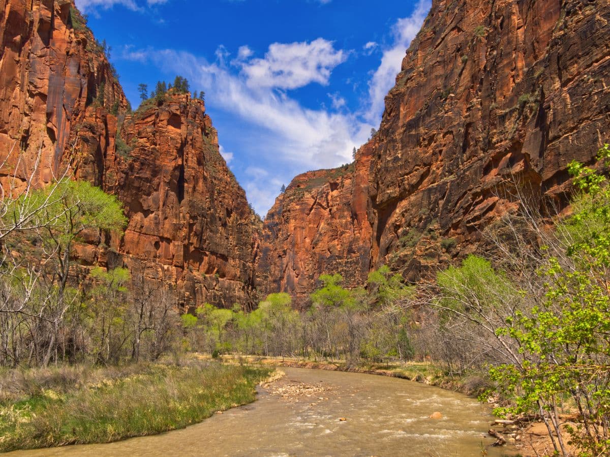 Fly Fishing Bryce Canyon National Park: Hoodoos, High-Country Streams, and the Trout Water You Didn't Know Was There