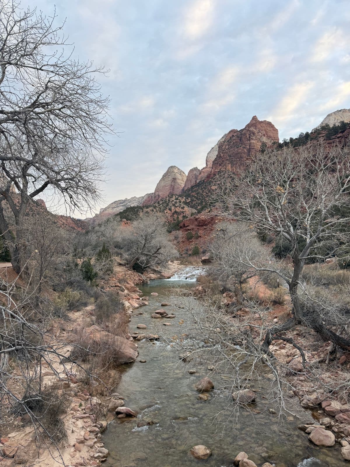 Fly Fishing Capitol Reef National Park: The Fremont River, Boulder Mountain, and the Quiet Heart of Utah's Red Rock
