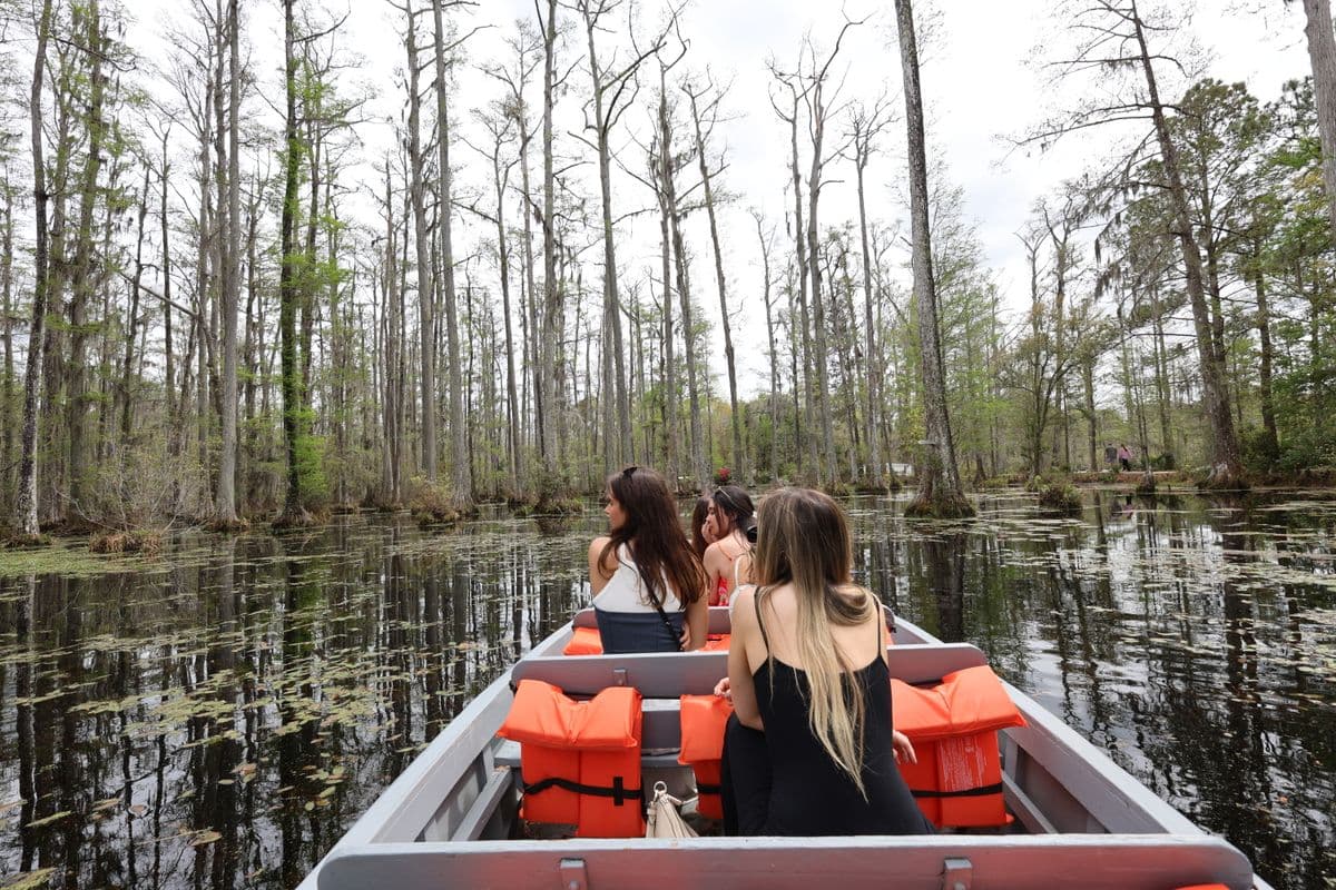 Fly Fishing Congaree National Park: Redbreast Sunfish, Bowfin, and Blackwater Bass in America's Tallest Bottomland Forest