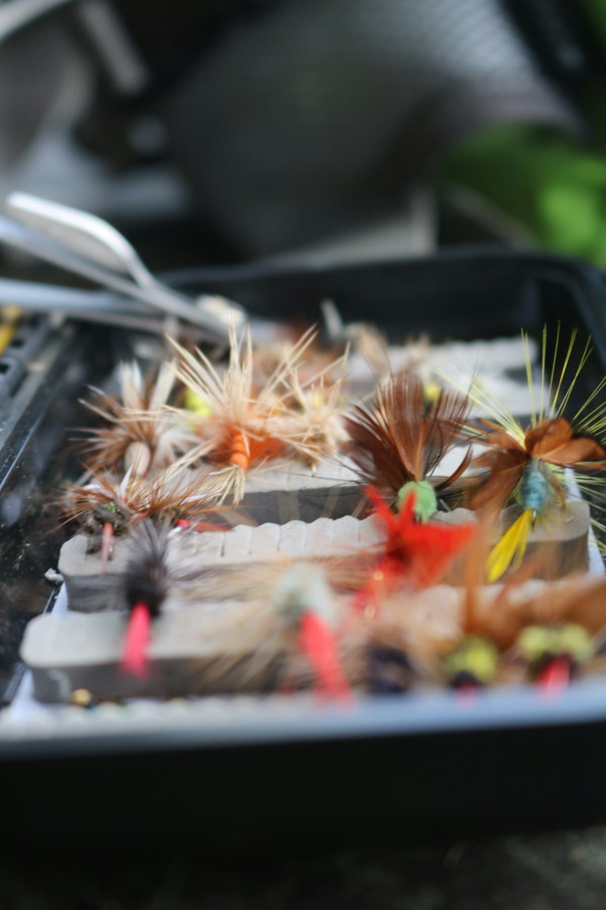 Fly Fishing the Crowsnest River, Alberta: Small-Stream Tactics for Wild Trout in the Rocky Mountain Foothills