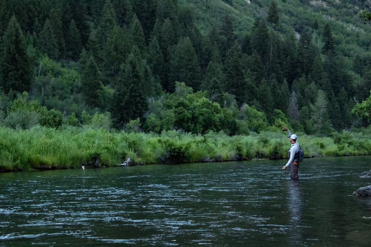 Fly Fishing the Dean River, BC: Helicopter-Access Steelhead on One of the World's Great Fly Fishing Rivers