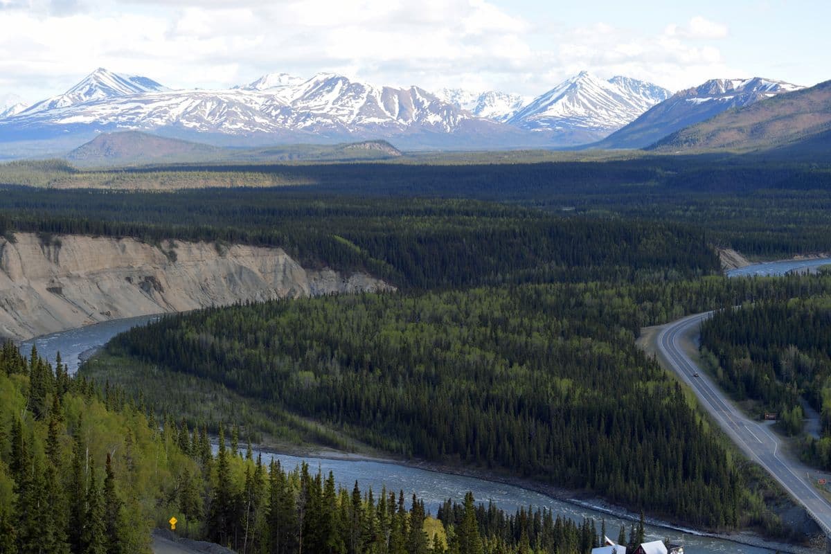 Fly Fishing Denali National Park: Arctic Grayling, Wilderness Creeks, and the Mountain That Changes Everything