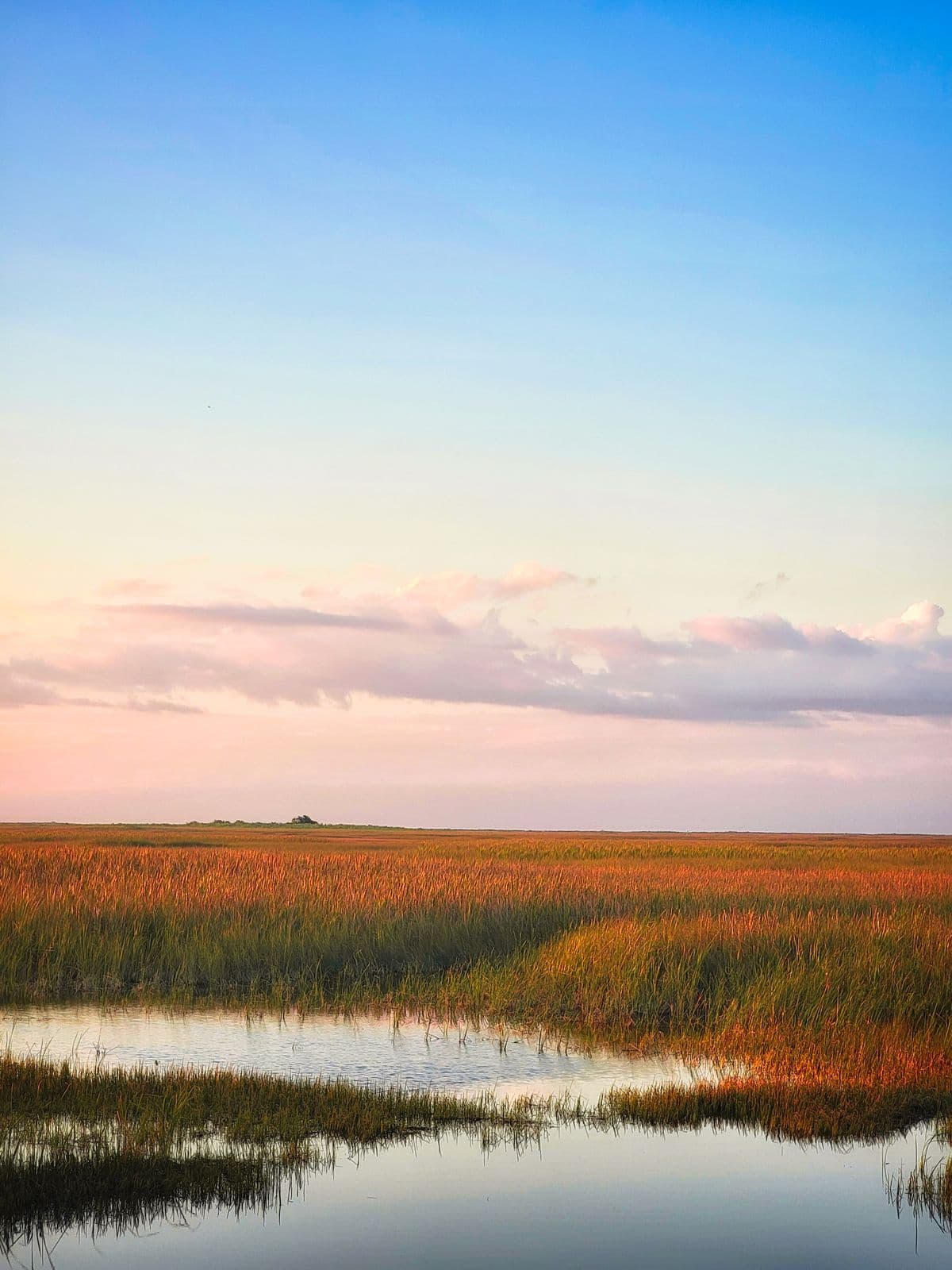 Fly Fishing Everglades National Park: Tarpon, Snook, and Redfish in America's Wildest Saltwater Backcountry