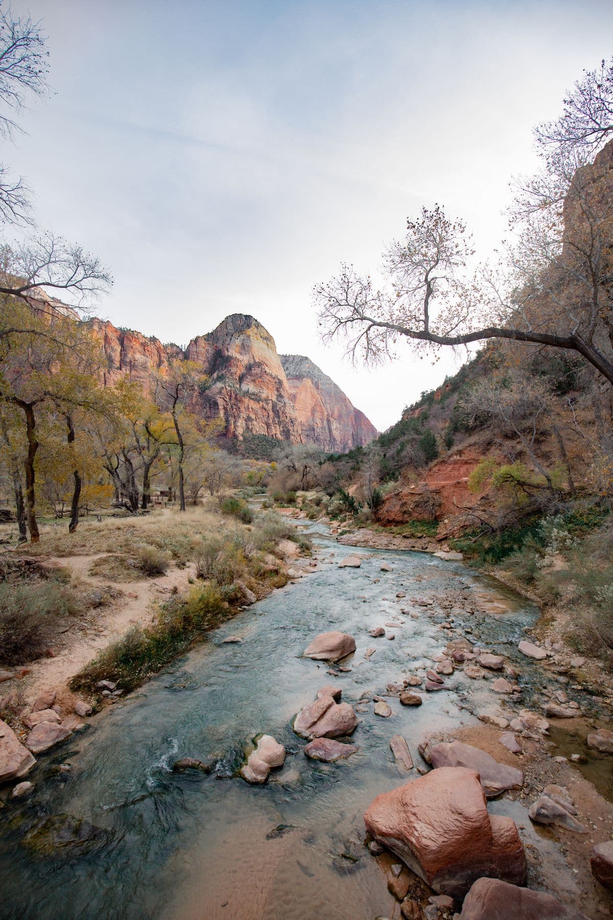 Fly Fishing Great Basin National Park: Bonneville Cutthroat Trout, Alpine Creeks, and the Loneliest Fishing in the Lower 48