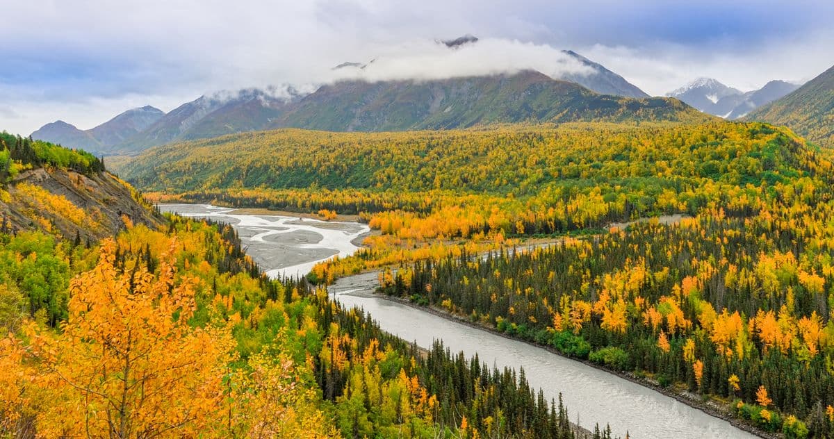 Fly Fishing Lake Clark National Park: Bush Planes, Leopard Rainbows, and the Rivers Nobody Else Is On