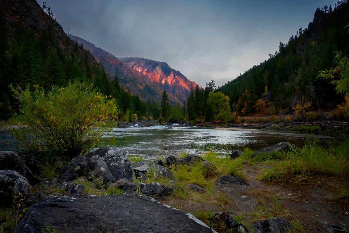 Fly Fishing Mount Rainier National Park: Glacier Silt, Clear Streams, and Wild Cutthroat Under the Volcano