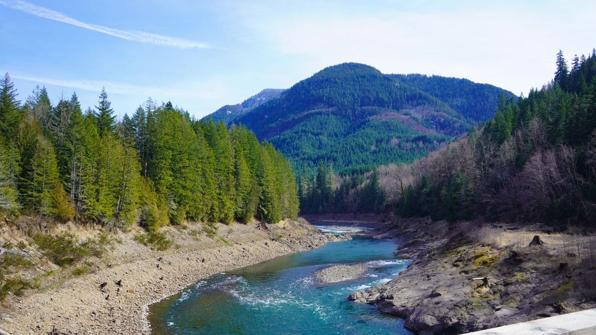 Fly Fishing North Cascades National Park: Turquoise Lakes, Backcountry Cutthroat, and Washington's Wildest Water