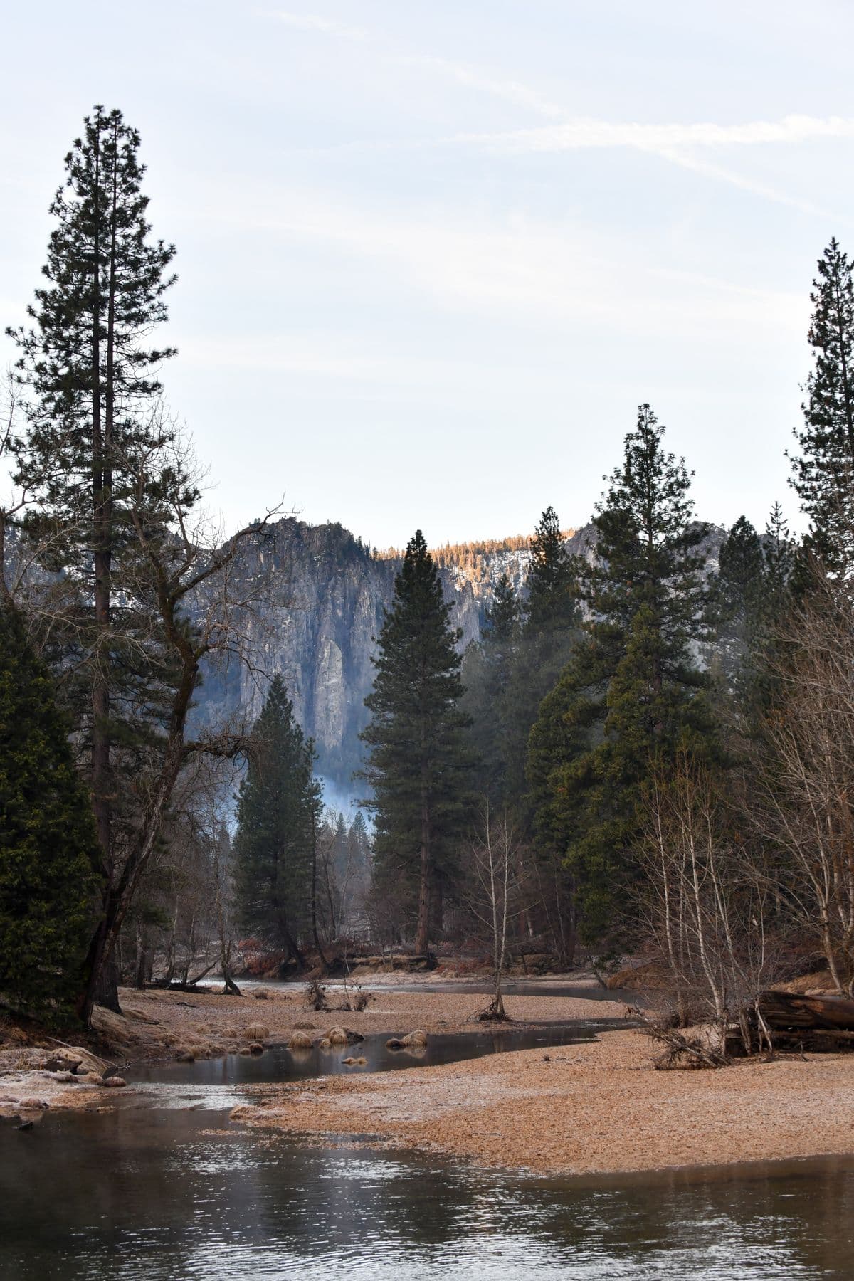 Fly Fishing Redwood National Park: Steelhead Under Cathedral Groves, the Smith River, and Why Intact Forests Make Wild Fish