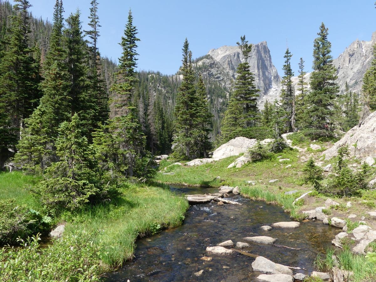 Fly Fishing Rocky Mountain National Park: Greenback Cutthroat, Alpine Lakes, and Colorado's State Fish Coming Home