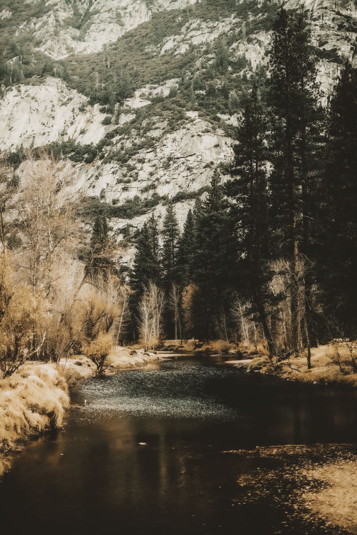 Fly Fishing Sequoia & Kings Canyon: California Golden Trout, the Deepest Canyon in America, and the State Fish in Its Native Water