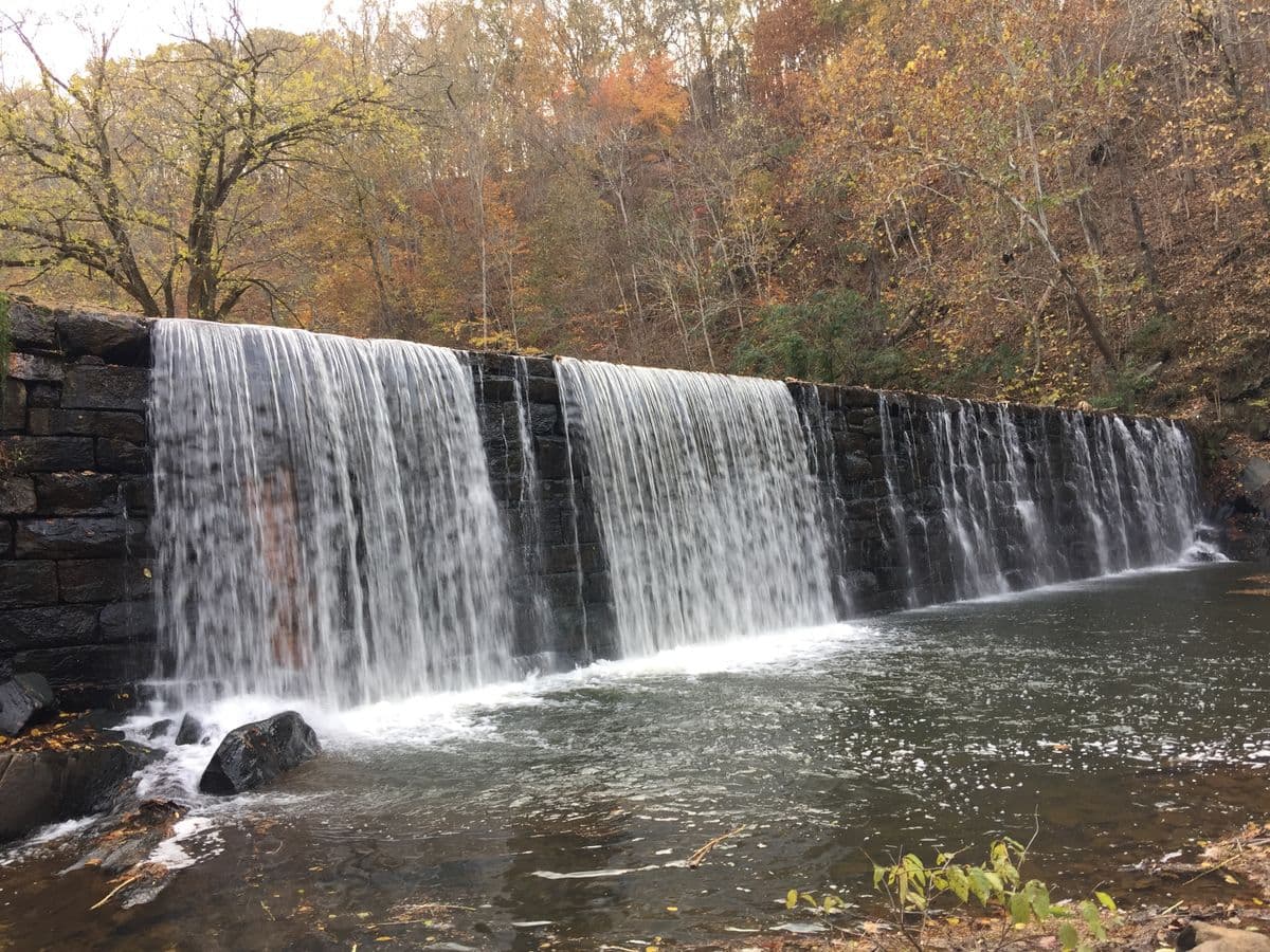 Fly Fishing Shenandoah National Park: Native Brook Trout, Mountain Streams, and the Best Small-Water Fishing on the East Coast