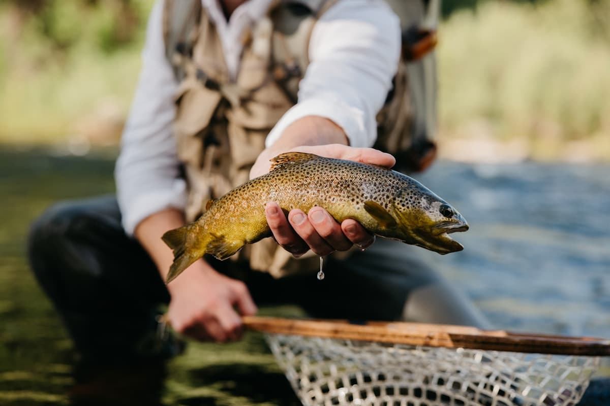 Fly Fishing the Skeena River: Spey Casting for Wild Steelhead in Northern British Columbia