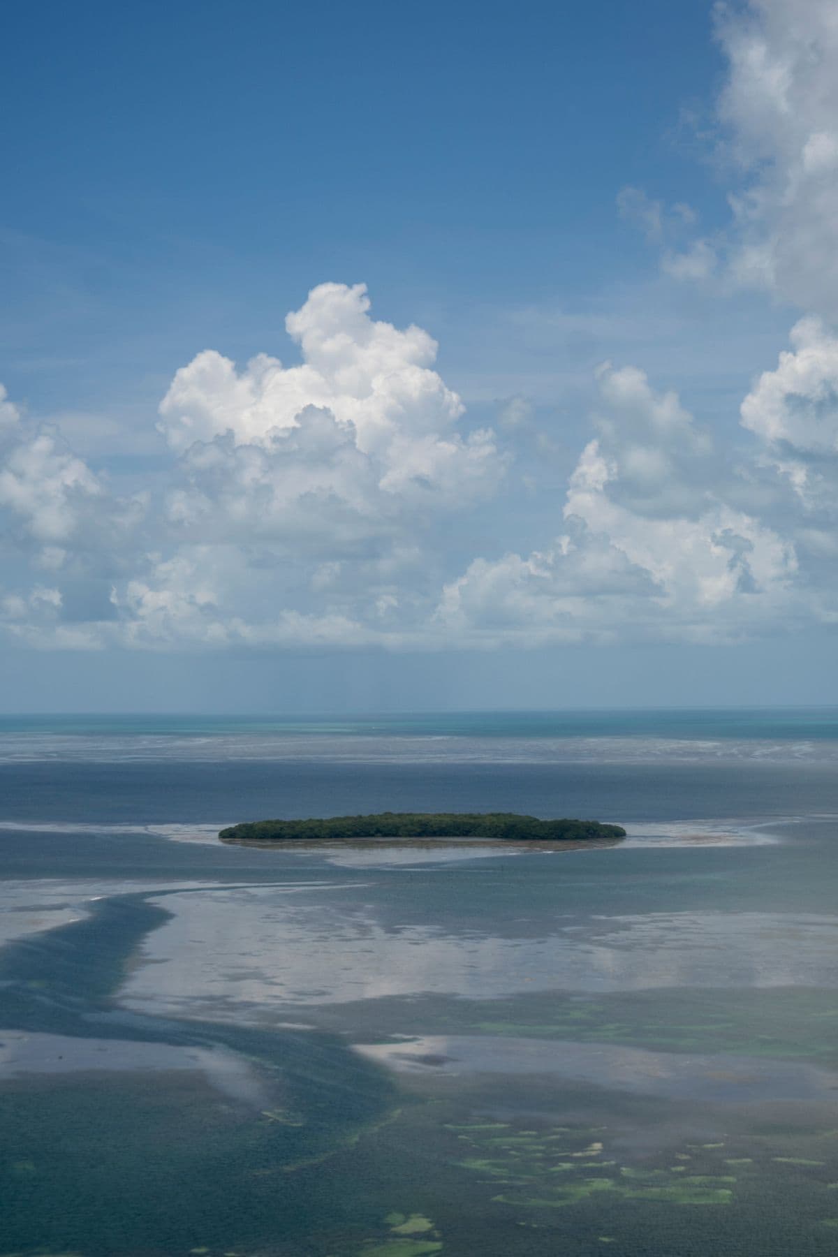 Fly Fishing Virgin Islands National Park: Jacks, Barracuda, and a Fly Rod on a Caribbean Vacation