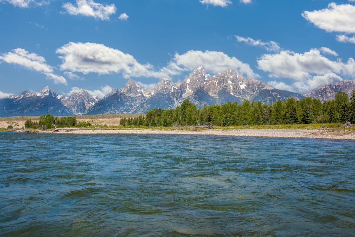 Fly Fishing Yellowstone National Park: Cutthroat in the Meadows, Wolves on the Ridge, and the Strangest Trout Stream on Earth