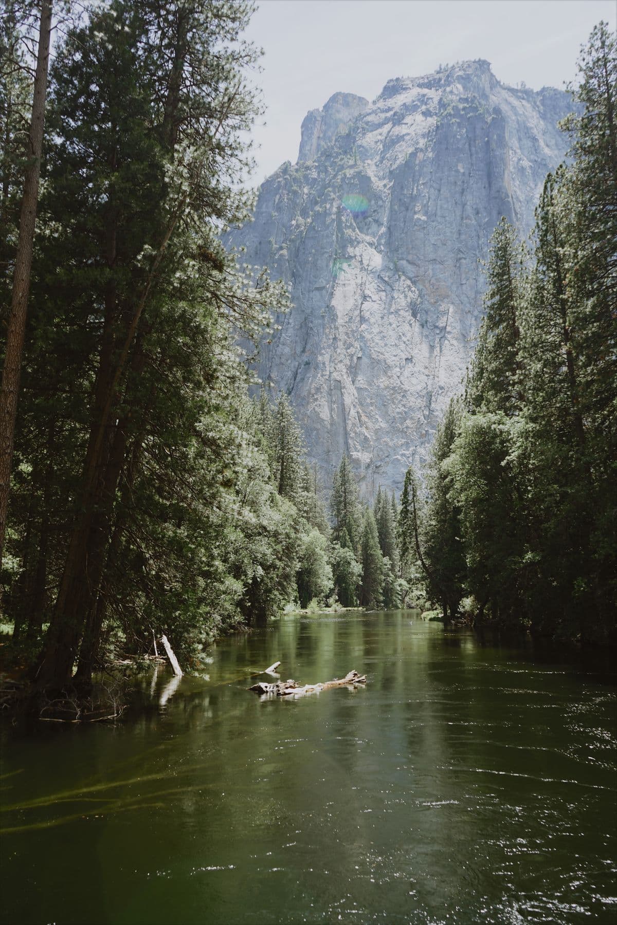 Fly Fishing Yosemite National Park: The Merced, the Tuolumne, and Trout Beneath the Granite Walls