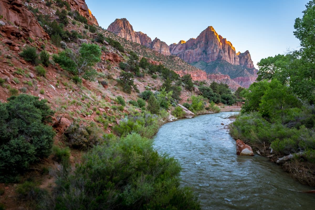 Fly Fishing Zion National Park: Wild Brown Trout, the Virgin River, and the Canyon You Didn't Come Here to Fish