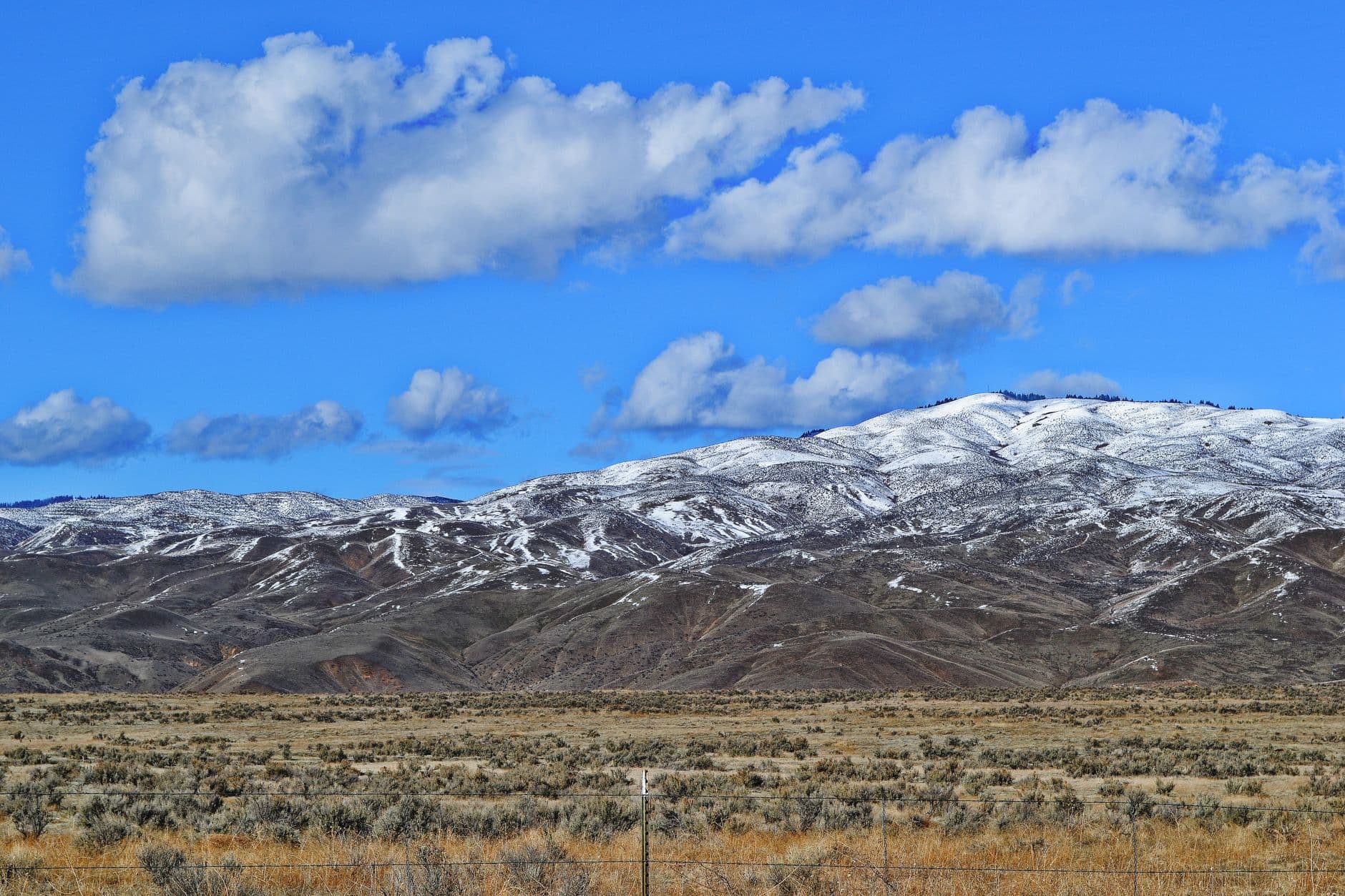 Boise's Ridge to Rivers: 210+ Miles of Trail Starting at the Edge of Town