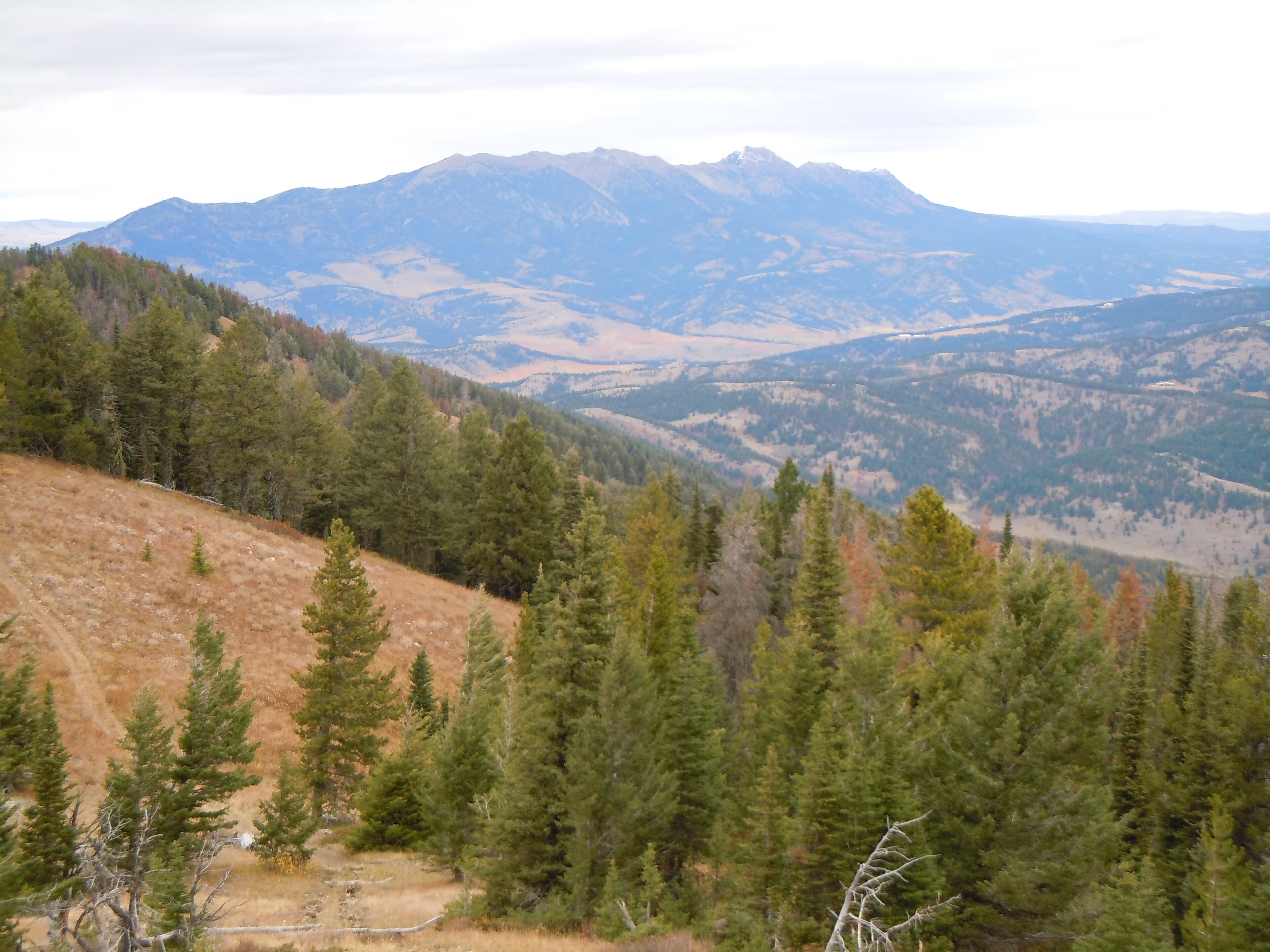 Bozeman Built a Trail System Out of Handshakes and Easements
