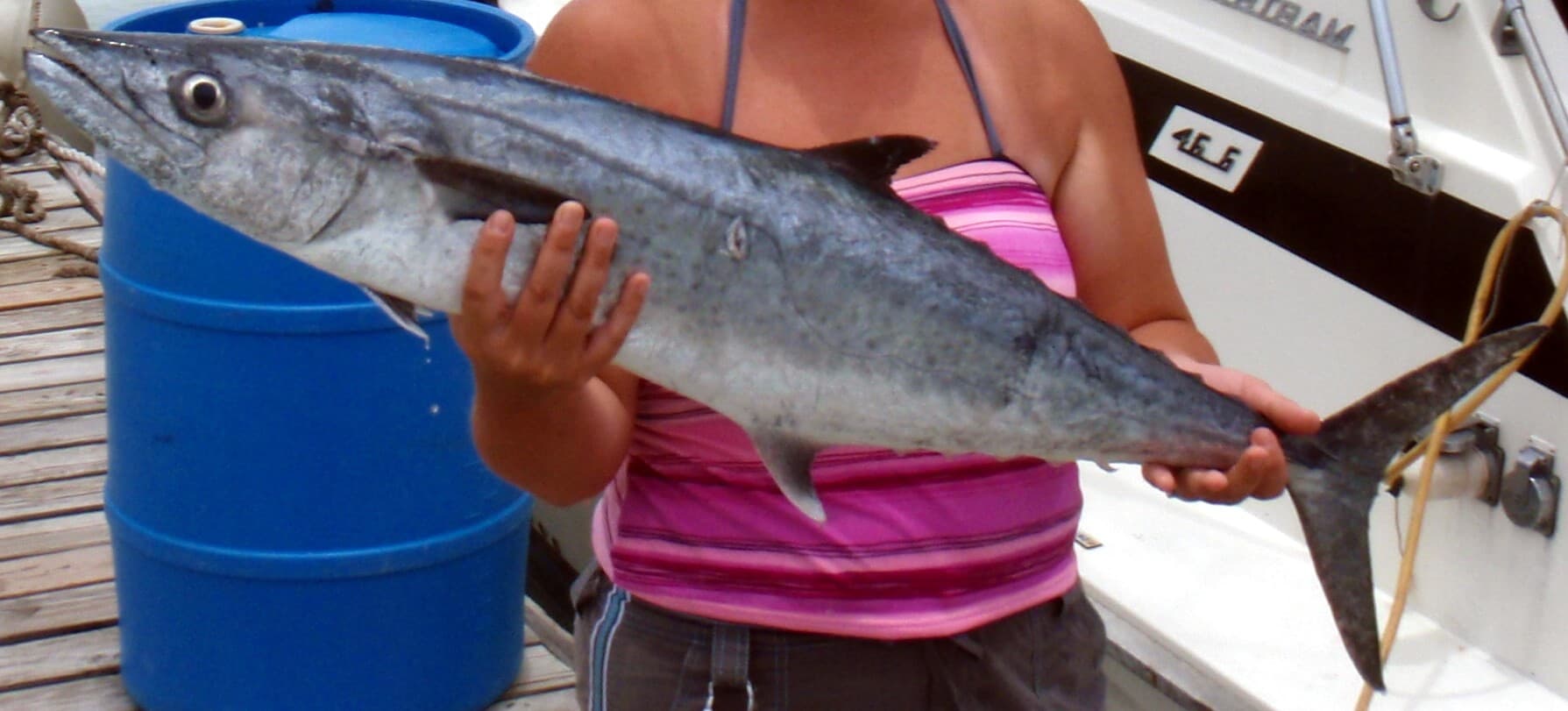 How to Catch King Mackerel: Slow-Trolling for Smoker Kings