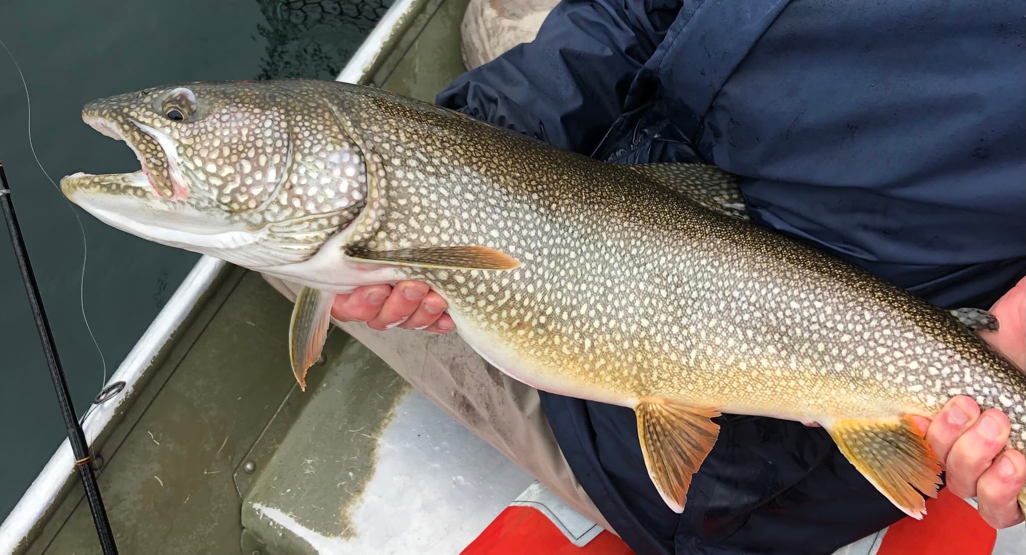 How to Catch Lake Trout: Jigging, Trolling, and the Depth Game