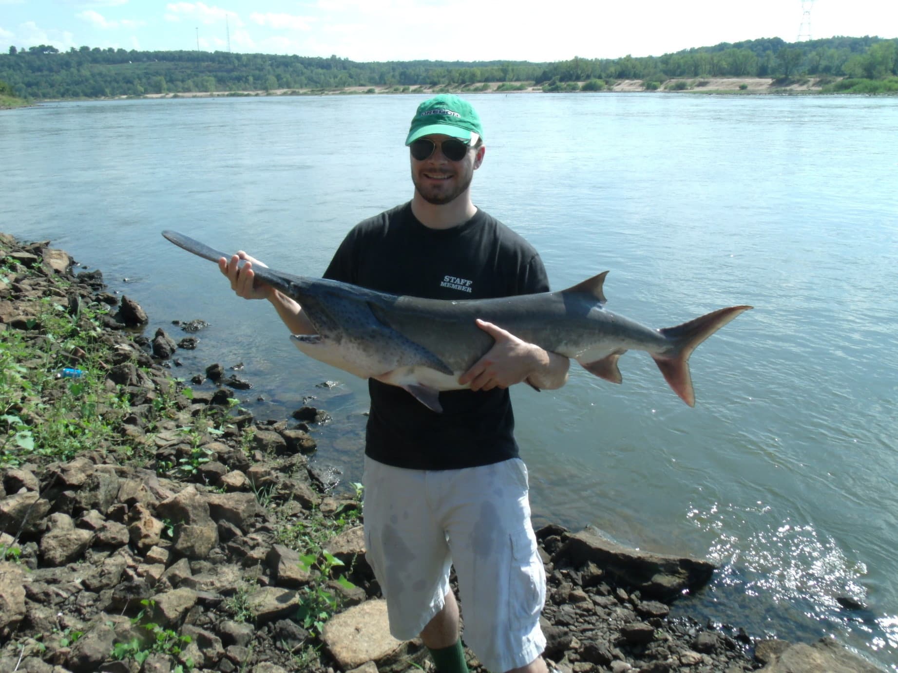 How to Catch Paddlefish: Snagging the River Giant