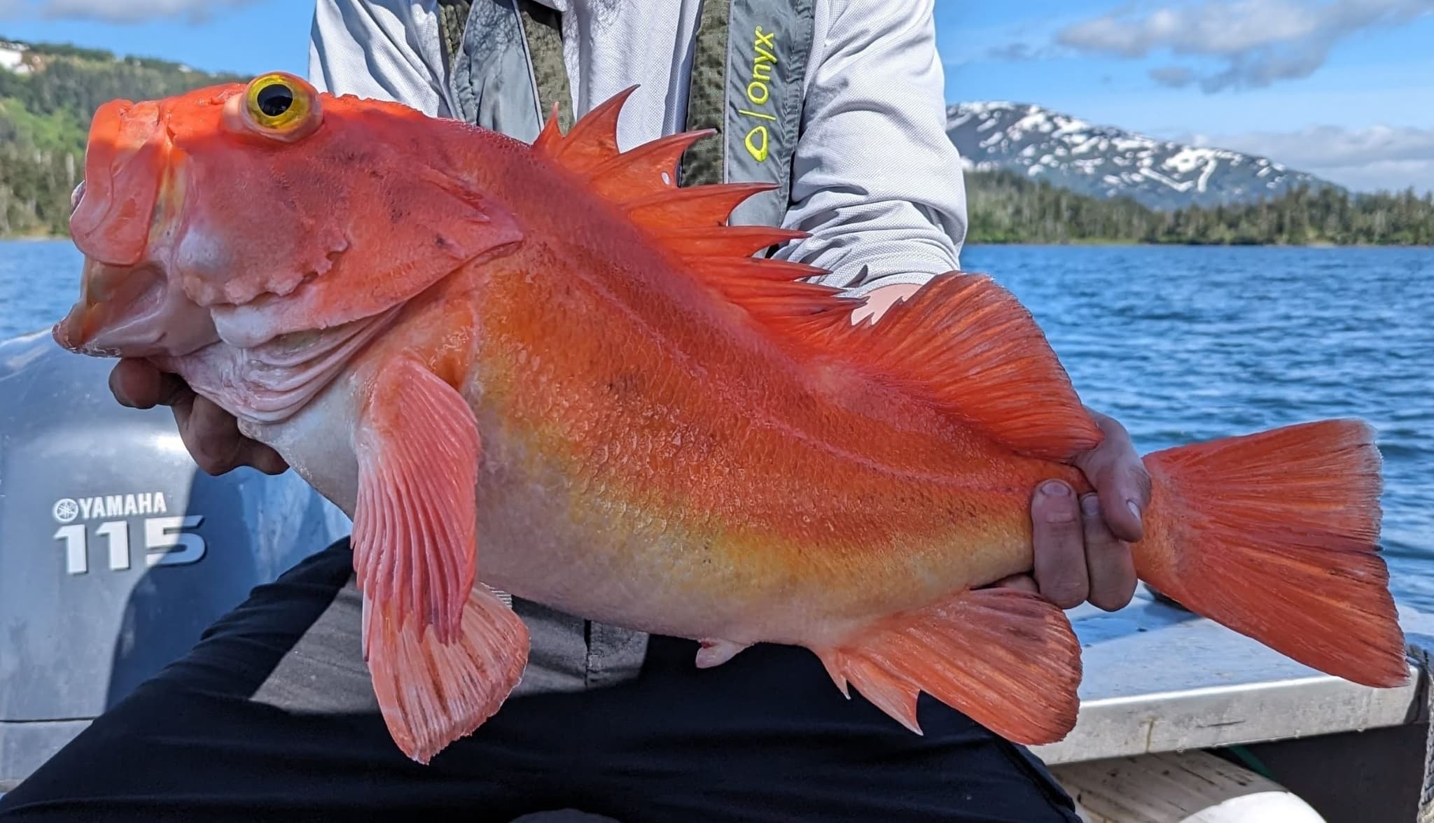 How to Catch Rockfish: The Complete Guide