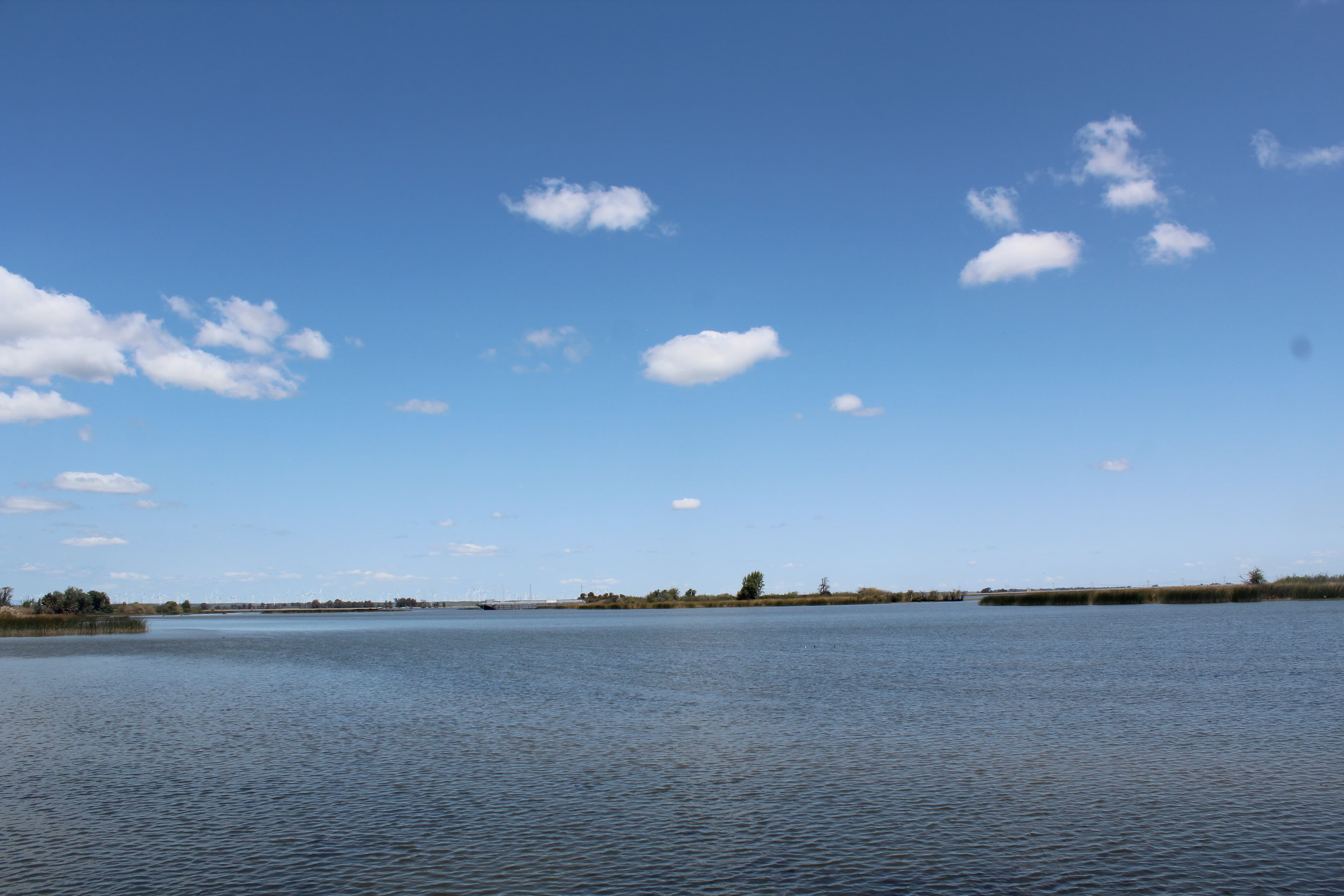 How to Fish the California Delta: A Beginner's Whole-Estuary Guide to Bass, Stripers, and Sturgeon