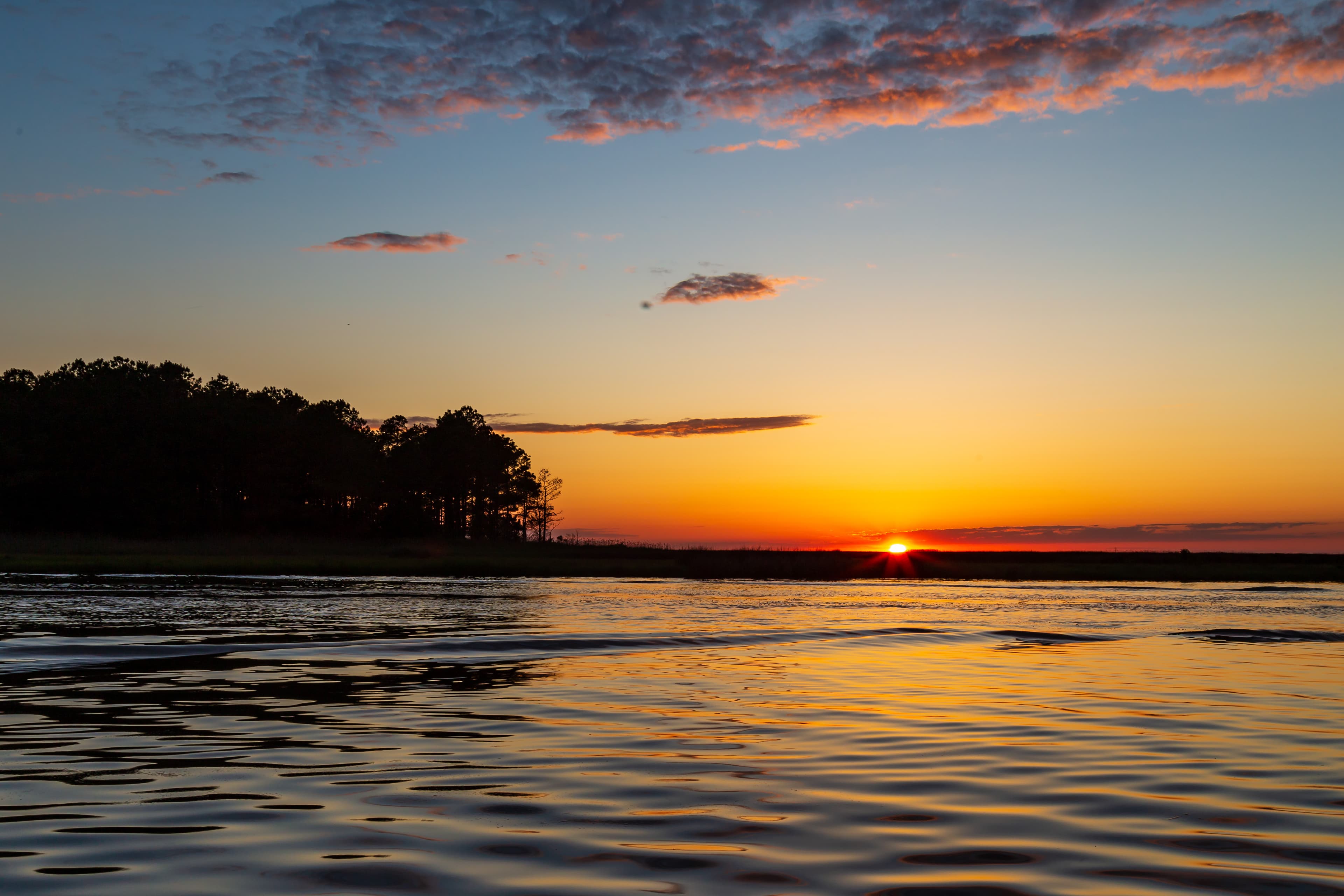 How to Fish the Chesapeake Bay: A Beginner's Guide to Rockfish, the Bay's Species, and Blue Crabs