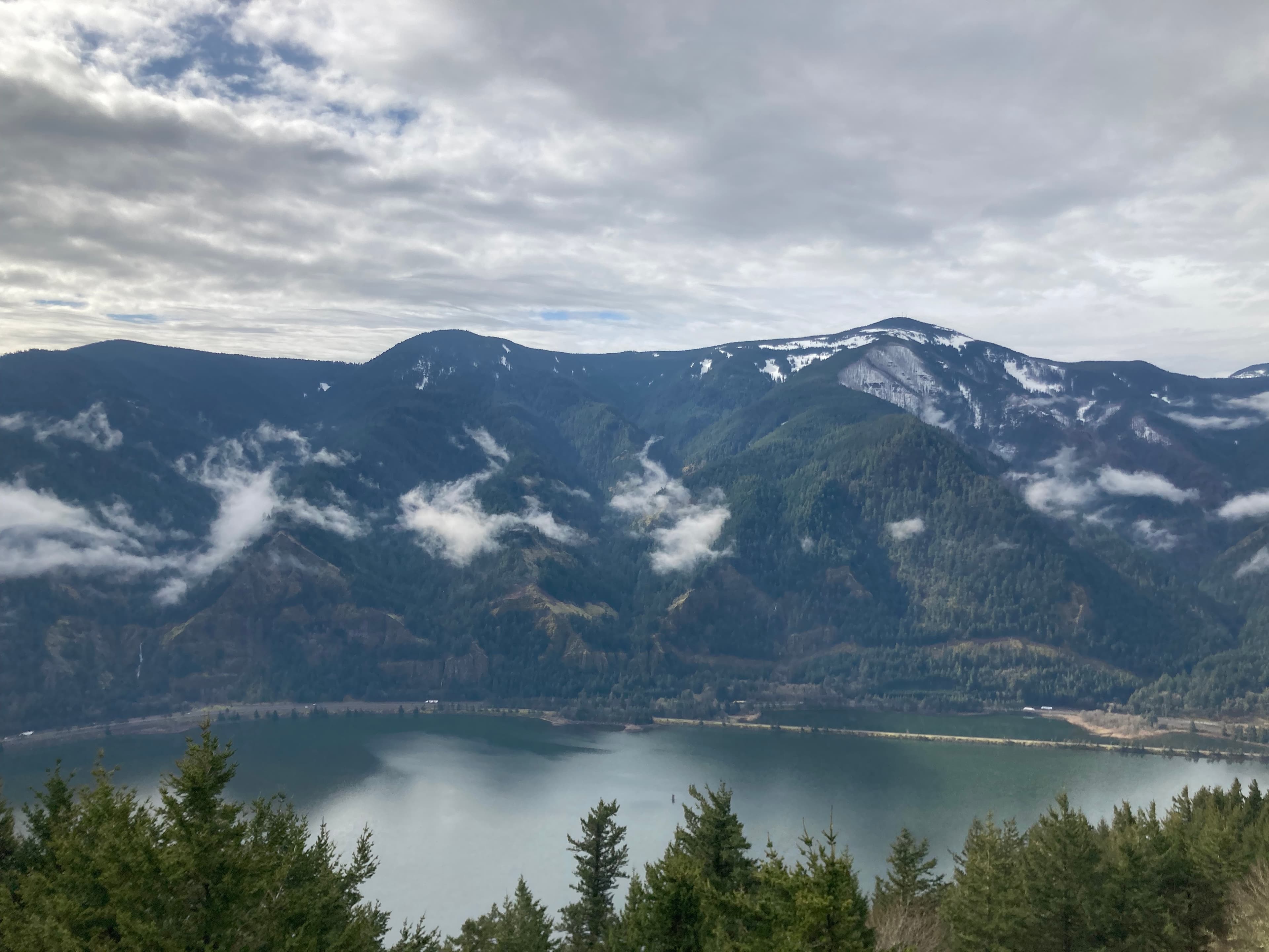 How to Fish the Columbia River Gorge Tailwaters: A Beginner's Guide to Sturgeon, Salmon, and Walleye