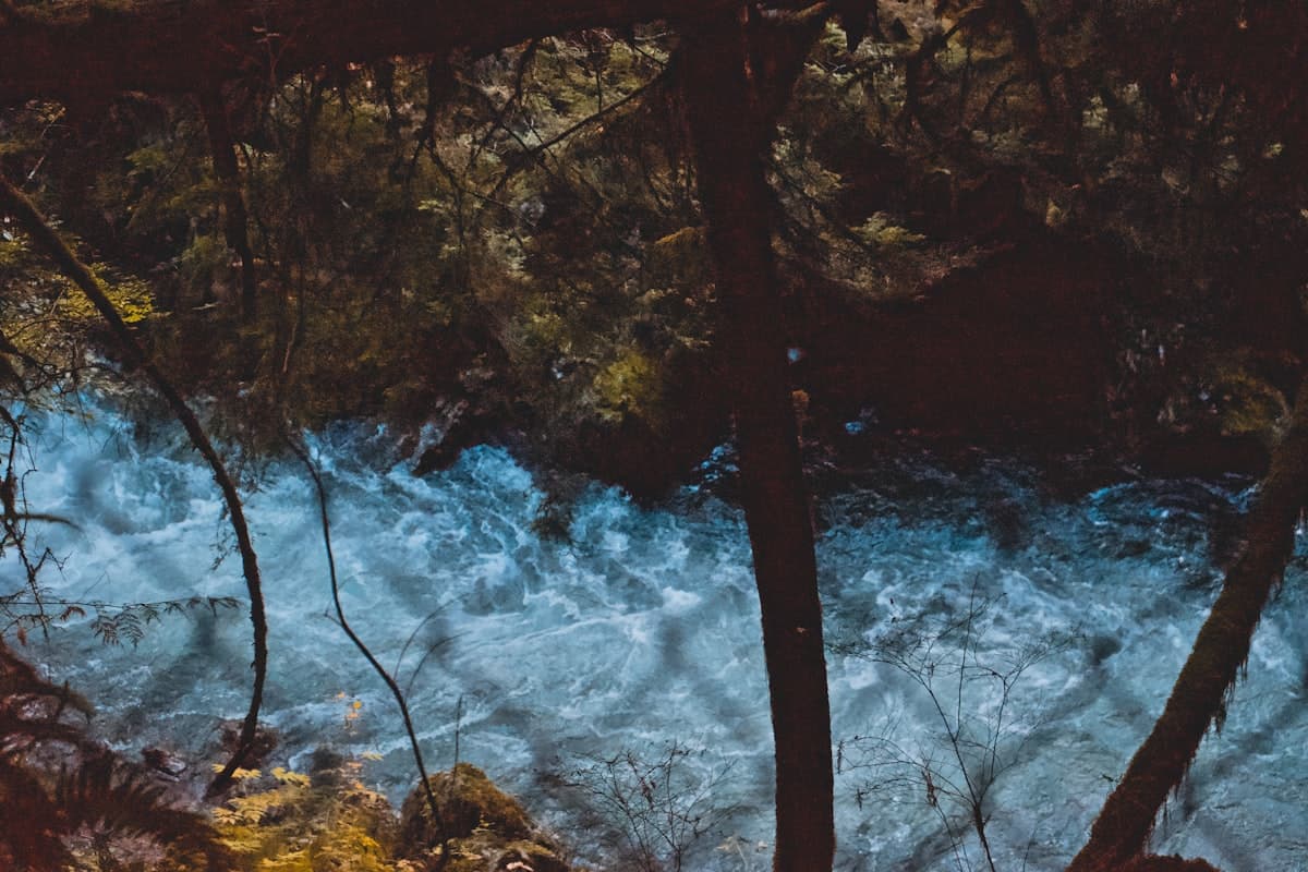 How to Fish the Dean River, BC: The World's Greatest Steelhead