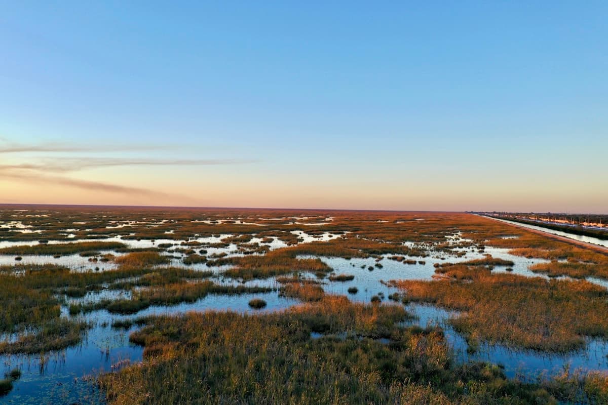 How to Fish the Everglades and Flamingo: America's Last Wild Flats