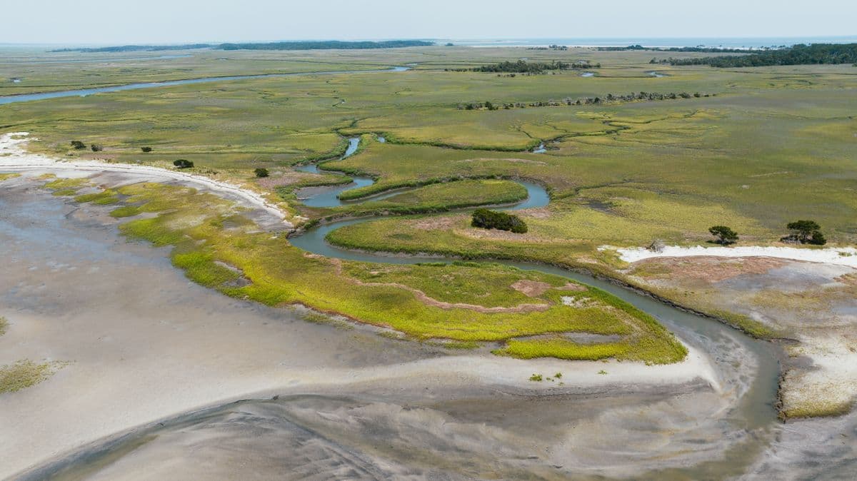 The Beginner's Guide to Fishing Hilton Head's Lowcountry Creeks and Marshes