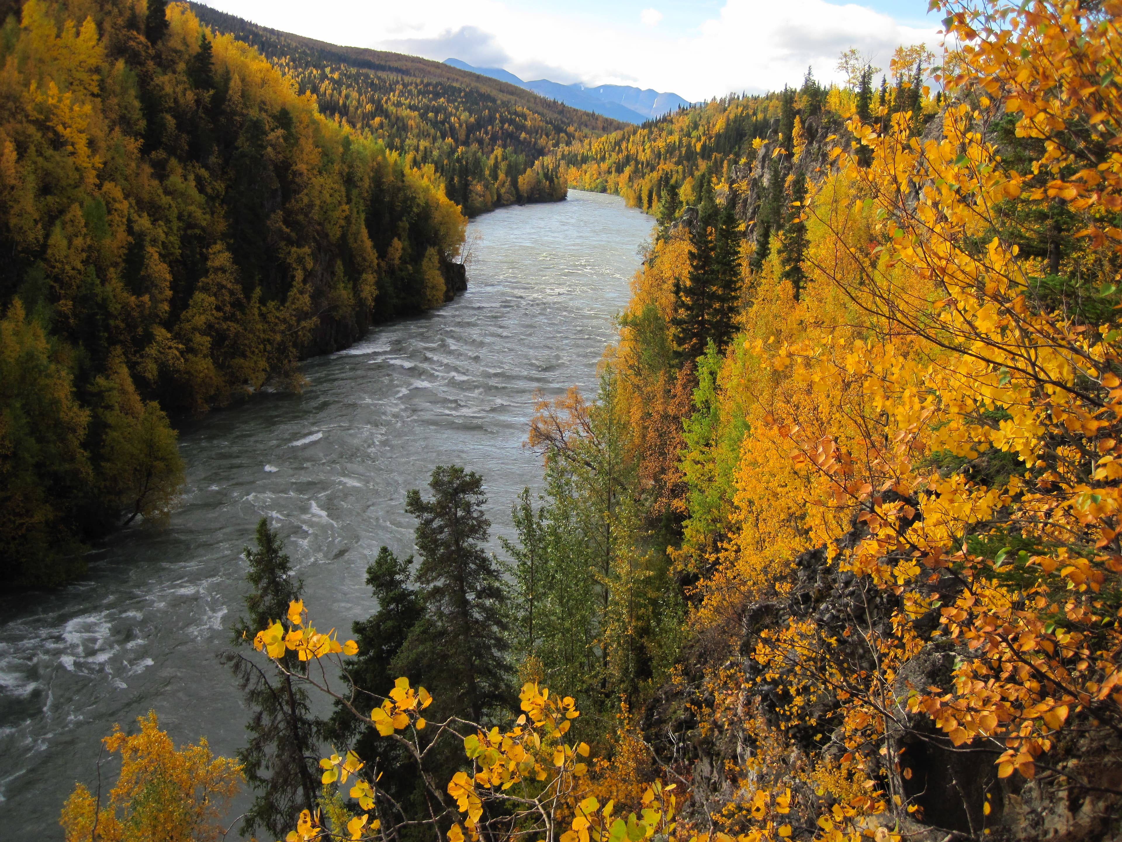 How to Fish the Kenai River: A Beginner's Whole-River Guide to King Salmon, Sockeye, and Trophy Trout