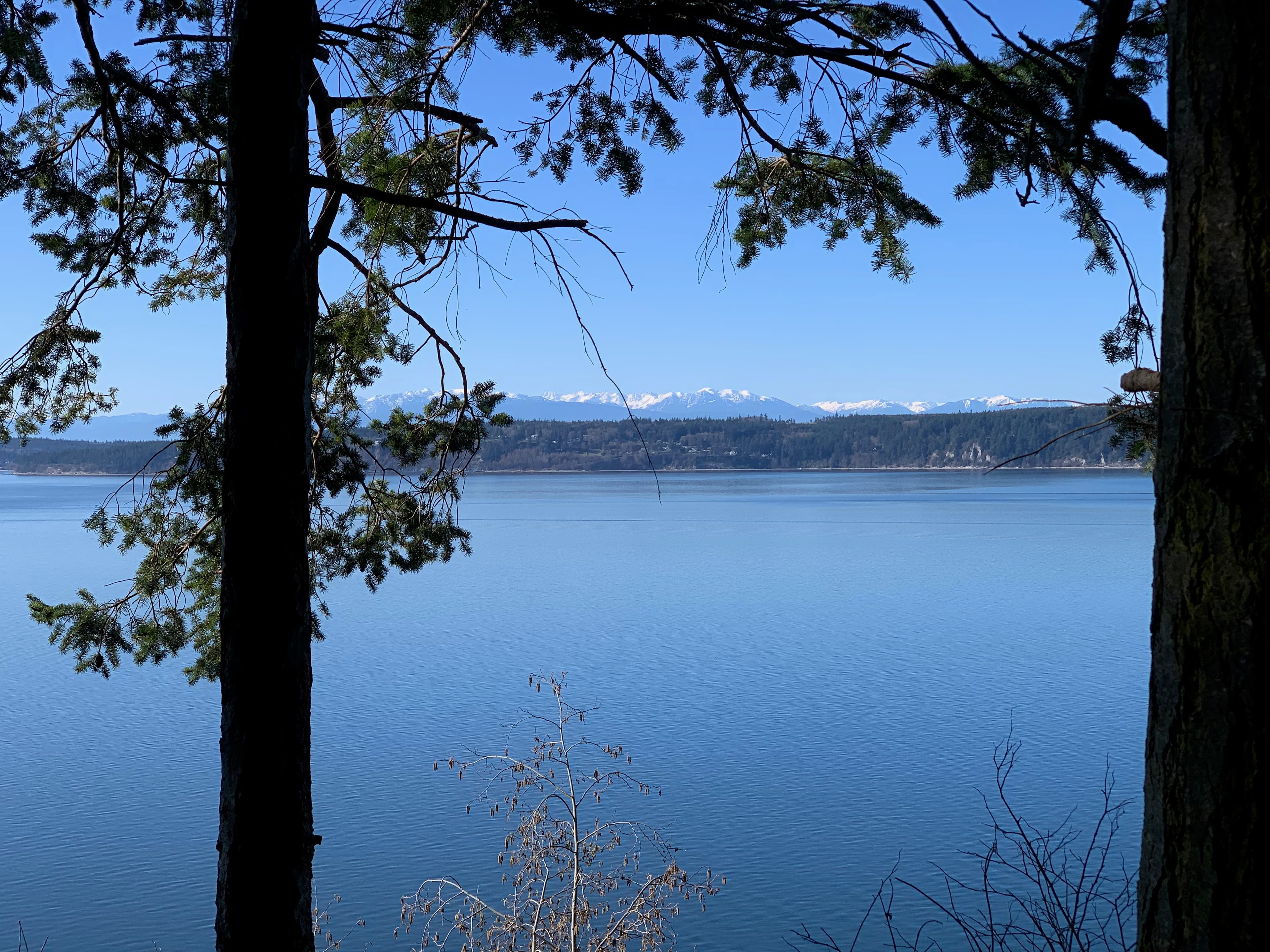 How to Fish Puget Sound: A Beginner's Guide to Salmon, Bottomfish, Crab, and the Inland Sea