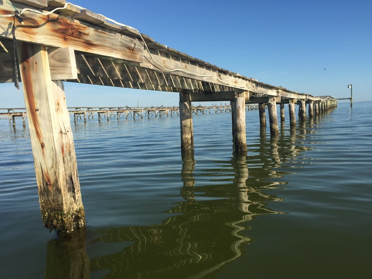 How to Fish Rockport, Texas: Wading the Coastal Bend Flats